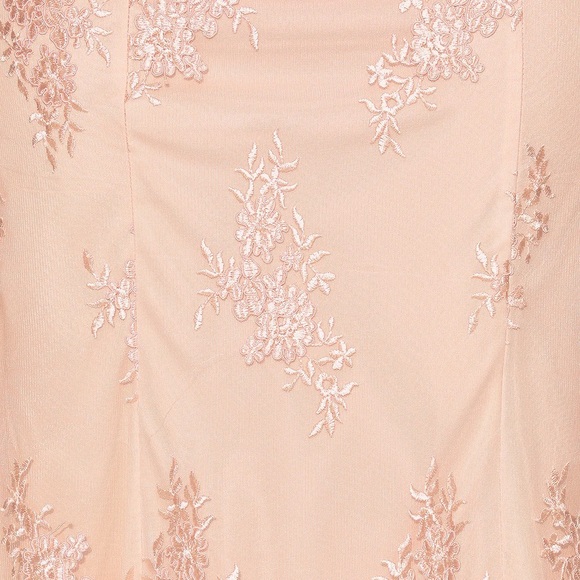 Blush Embroidered Sleeveless Maxi Dress - Picture 5 of 7
